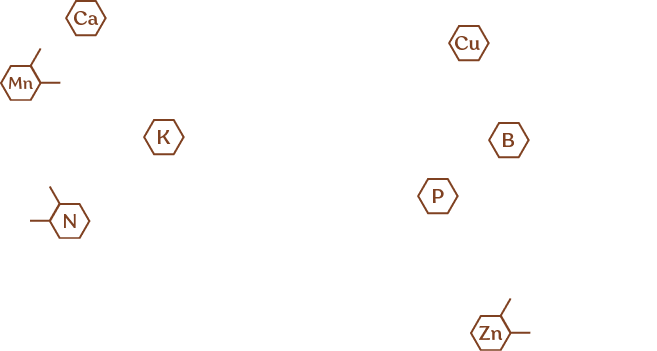 organic_molecules