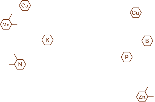 organic_molecules_m